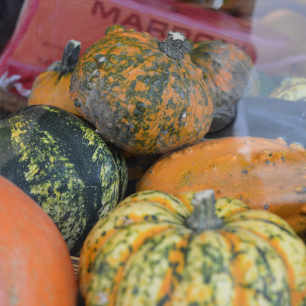 Schermata 2015-10-06 a 15.40.26